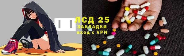 шишки Алзамай