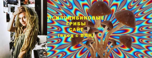 тгк Алексеевка