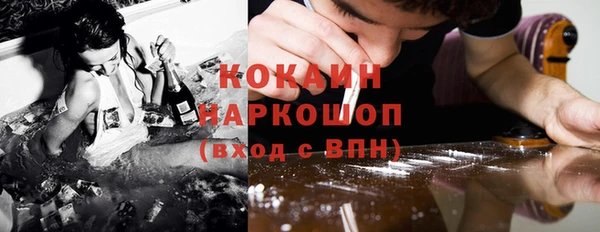 шишки Алзамай