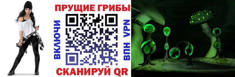 где можно купить Алзамай Псилоцибиновые грибы Magic Shrooms